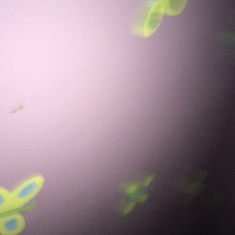 Meet your Posher, Stacy